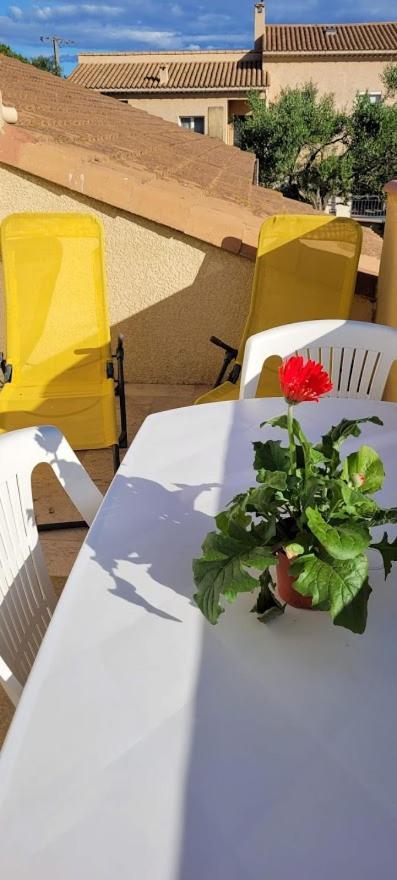 Appartement Agreable Et Spacieux Ensoleille Valros المظهر الخارجي الصورة
